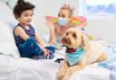 Spreading happiness: young patients are visited by entertainers - and dogs!