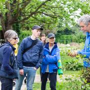 Garden tour: you can join Chris Ellis on a tour of the grounds