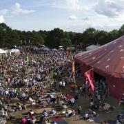 Singing the blues: crowds enjoy a previous festival in Walpole Park