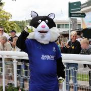 Non-League mascots steal the show at Epsom Downs