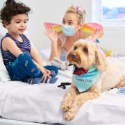 Spreading happiness: young patients are visited by entertainers - and dogs!
