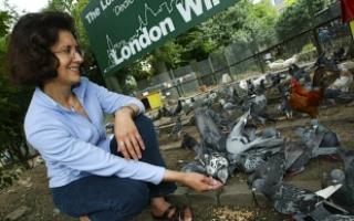 Natalia Siabkin feeds the pigeons outside the London Wildcare Trust site in Walpole Park.