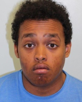 Hayes man pleads guilty to killing teenager (From Ealing Times) - Ealing Times
