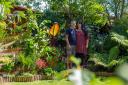 Perry turned her garden into a holiday at home and has been nationally recognised thanks to her haven that focuses on wildlife, holidays and vegetables