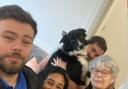 Missing dog reunited with his family in Ealing