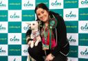Dog rescued from Belarus takes the Crufts green carpet