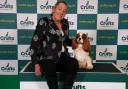 A Cavalier King Charles reigns supreme as it reaches Best in Show at Crufts