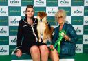 Dunhill-Hall was born into dog showing thanks to mum Liz, right.