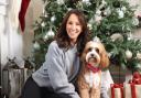 Many owners feel stressed in the lead up to Christmas, with the holiday season often overwhelming for pets