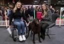 Laura Wild, who set up Wild Spirit Canines in 2021, was surprised by Crufts Channel 4 presenter Sophie Morgan live on TV with the Prince’s Trust Natwest Enterprise Award