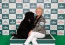 Clare Burnett from Ballymena won the Bouvier Des Flandres Best of Breed crown with 16-month-old Gwen