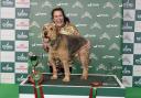 Owner holds back the tears as epilepsy-detecting dog wins Crufts award