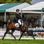 Angus Smales riding ESI Pheonix during dressage stage of the Land Rover Burghley Horse Trials.