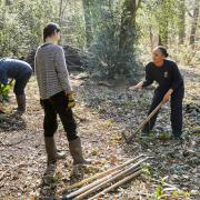 Paid traineeships opening up conservation to London's youngsters