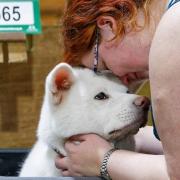 Doncaster dog owner caps emotional journey at Crufts