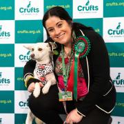 Dog rescued from Belarus takes the Crufts green carpet