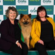 Ruby the Eurasier was one of the older winners of Best in Breed at 12 years old