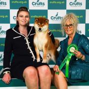 Dunhill-Hall was born into dog showing thanks to mum Liz, right.