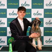 Dog signs off in style at Crufts before heading Down Under