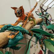 Echoes of the rain forest: an artistic piece by youngsters at A.P.P.L.E. sessions