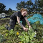 Young people embracing chance to work in nature thanks to National Lottery support