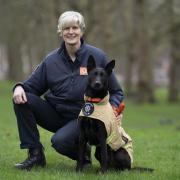Vesper was initially trained to be a police dog but was found to be much better suited to the life-saving work she does now.