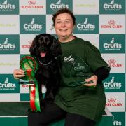 Georgie Lott, 37, capped a Crufts debut to savour by grabbing Medium ABC agility glory on Friday alongside her Cocker Spaniel Eadie