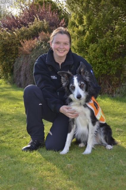 Taz, a border collie, is the senior search dog for Trossachs Search and Rescue